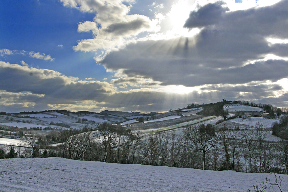 La Nevicata Del 13 02 21 Tra Neve E Sole Pianura E Colline